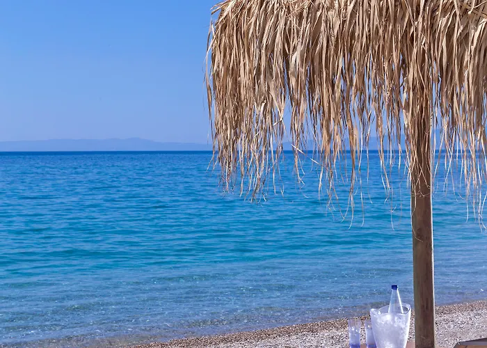 Horizon Blu Boutique